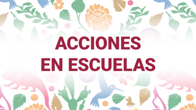 Acciones en escuelas