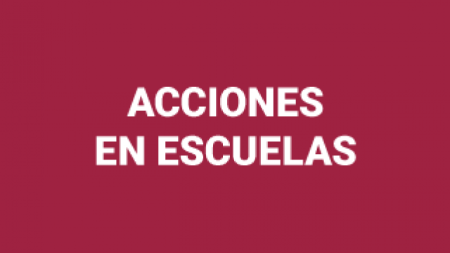Acciones en Escuelas