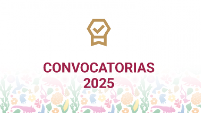 Convocatorias 2025